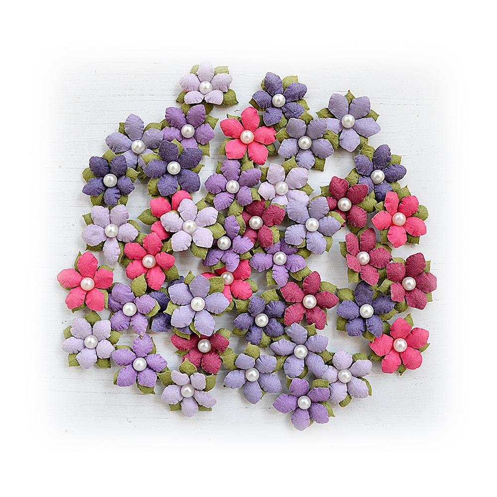 Little Birdie - Flowers - Elira