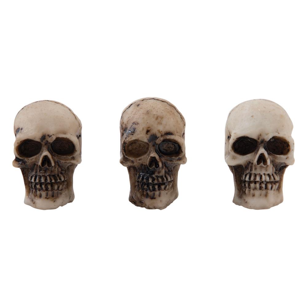 Tim Holtz - Idea-Ology - Halloween 2023 - Skulls & Bones