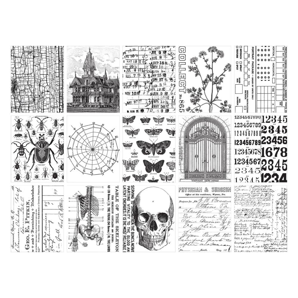 Tim Holtz - Idea-ology - Halloween 2024 - Collage Paper