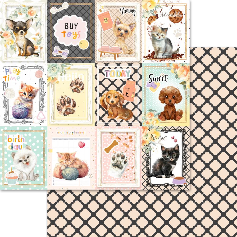 Asuka Studio - Memory Place - Pet Life Collection pack -  12 x 12"