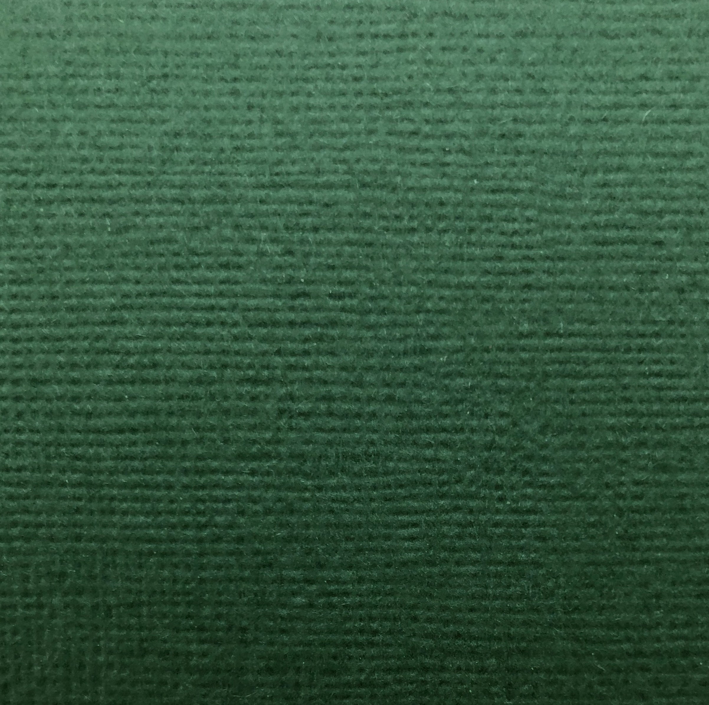 Reprint - Cardstock -  Green  - 12 x 12"