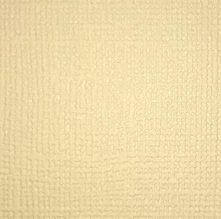 Reprint - Cardstock -  Cream/Vanilla  - 12 x 12"