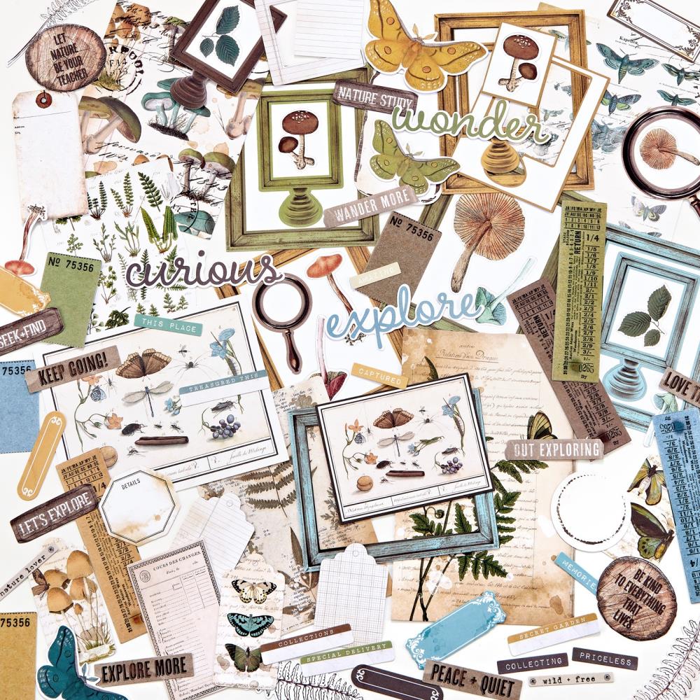 49 and Market - Nature Study - Ephemera Bits