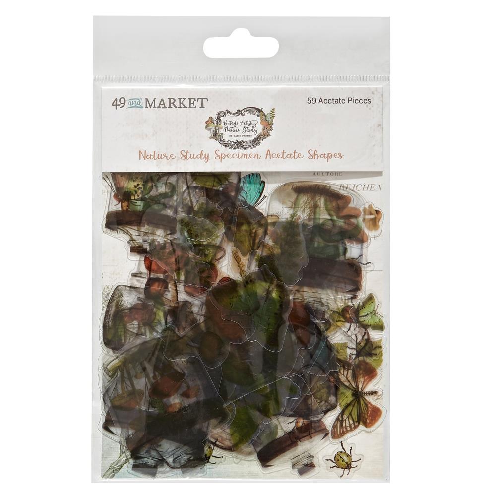 49 and Market - Nature Study - Acetate Shapes - Specimen