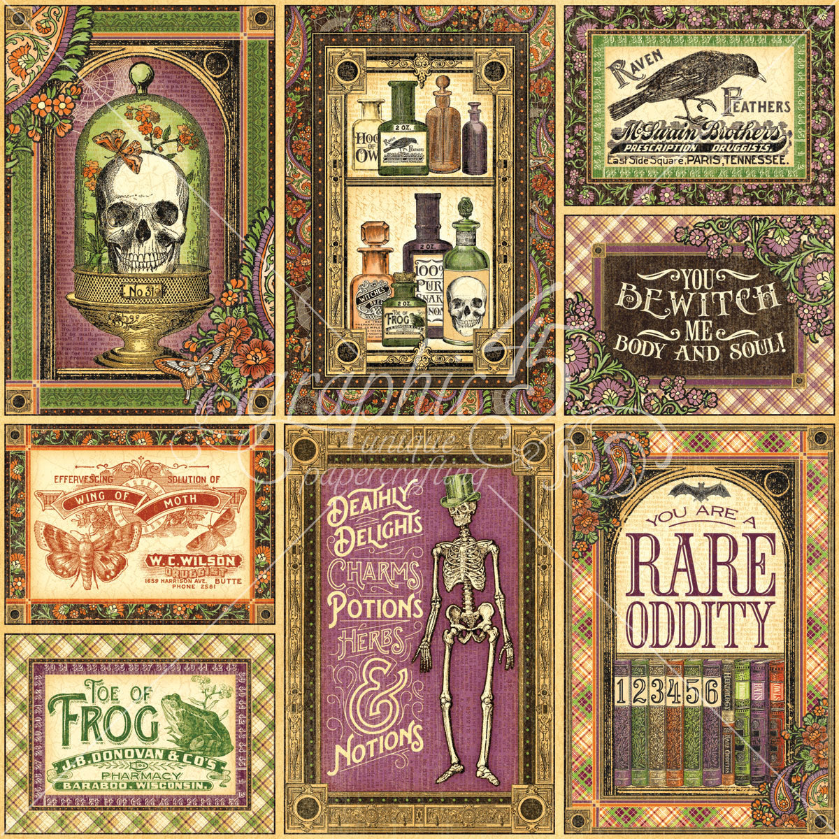 Graphic45 - Rare Oddities - Cabinet of Curiosities 12x12"