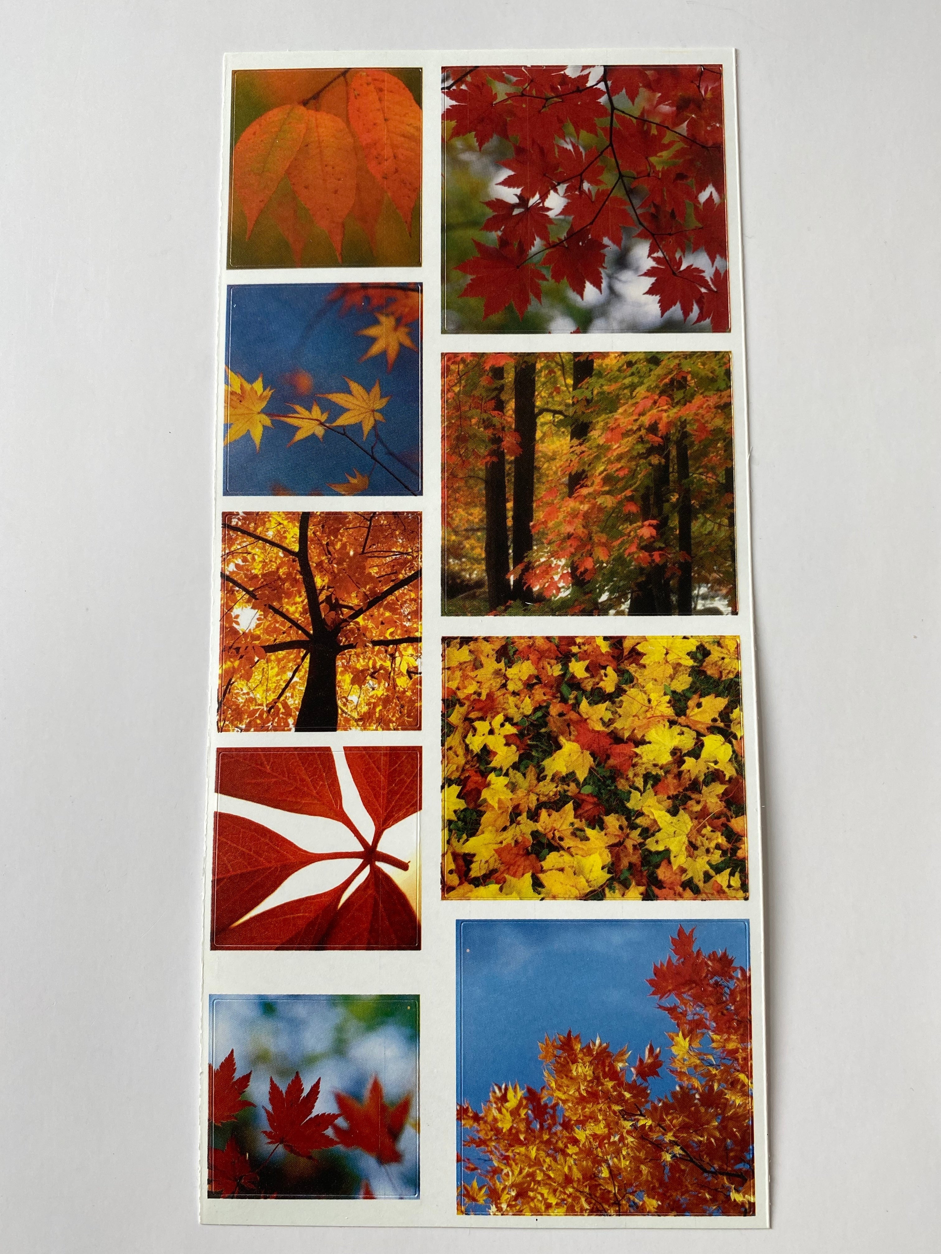 DCWV - Autumn - Stickers
