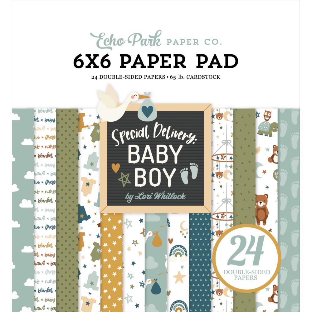 Echo Park - Special Delivery Baby Boy - Paper Pad - 6 x 6"
