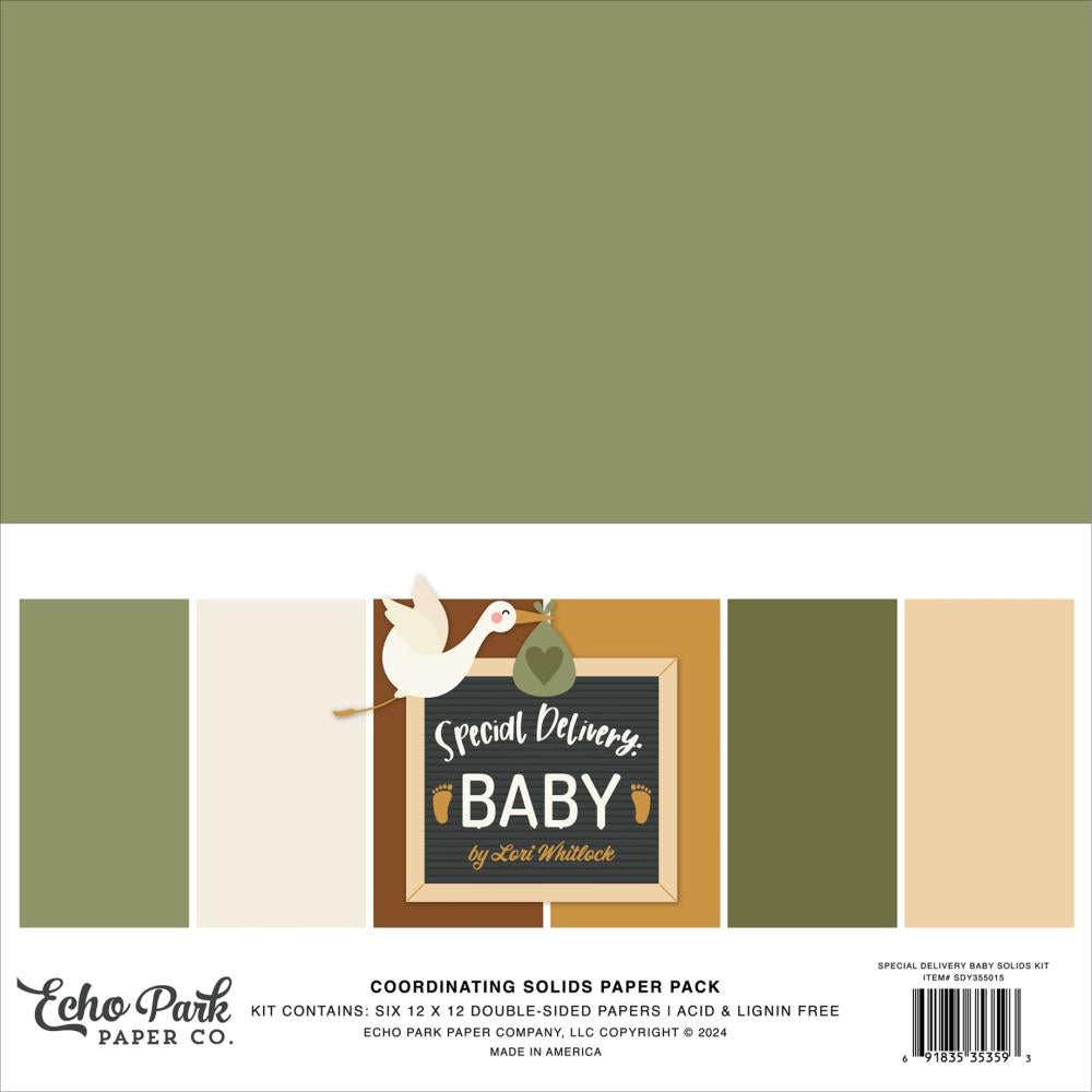 Echo Park - Special Delivery Baby - Solids - 12 x 12"
