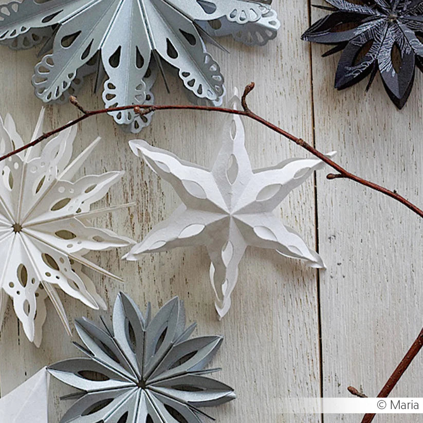 Alexandra Renke - Dies - Rounded Plug star