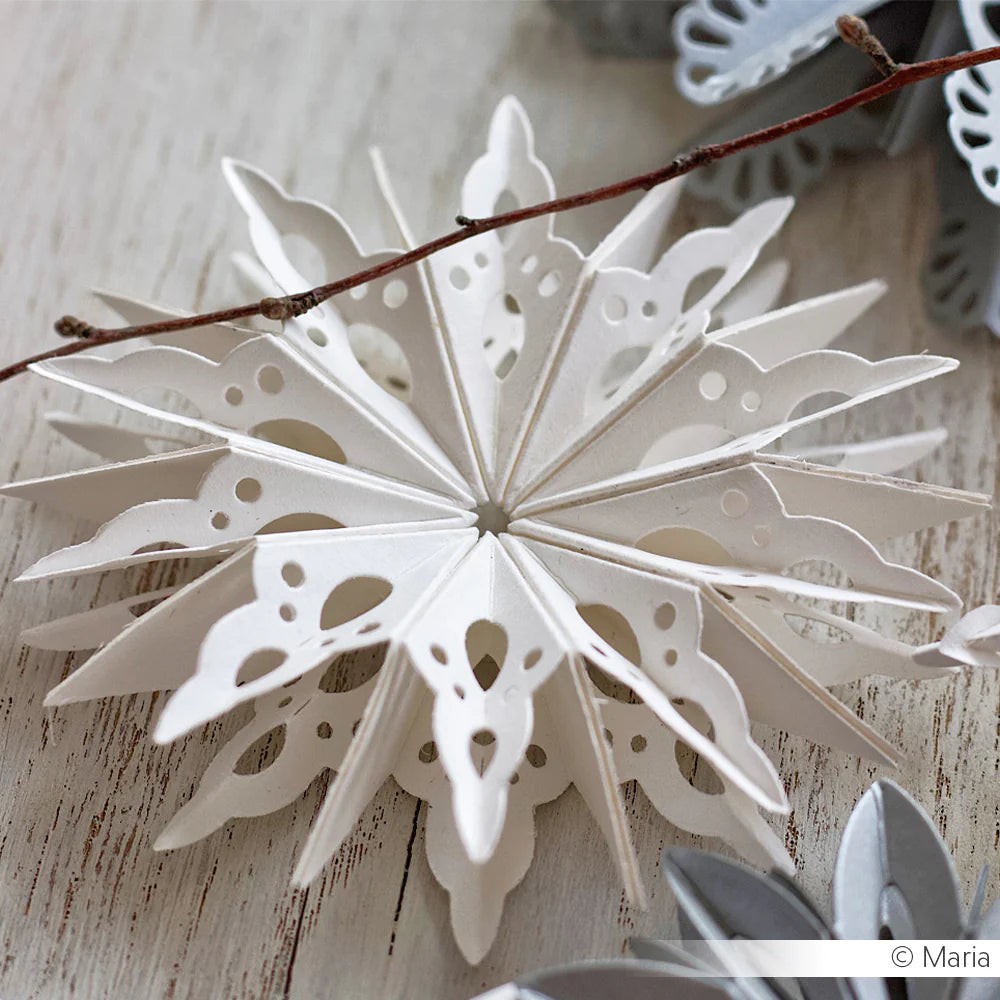 Alexandra Renke - Dies - Star segment Curved - medium