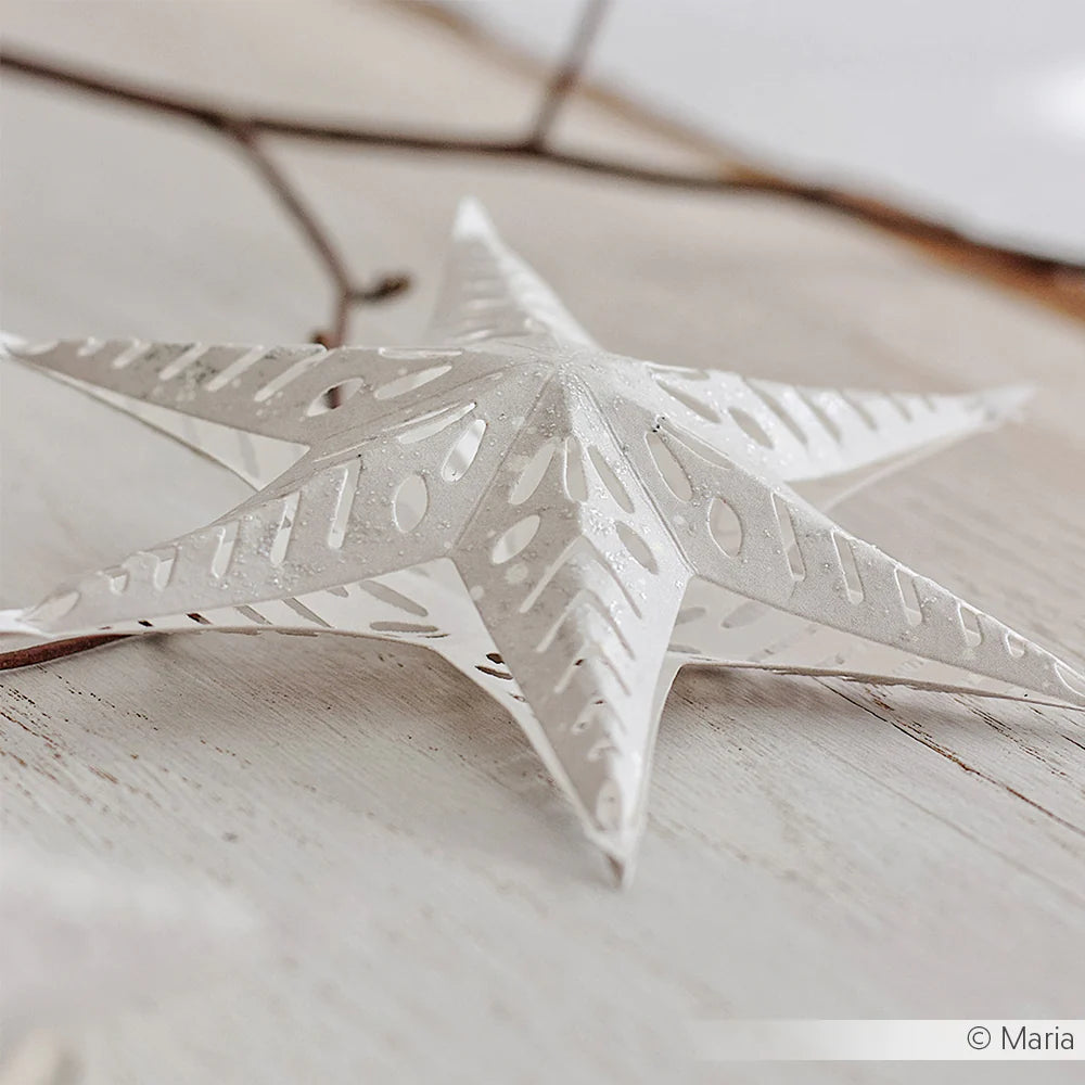 Alexandra Renke - Dies - Plugged star with line pattern