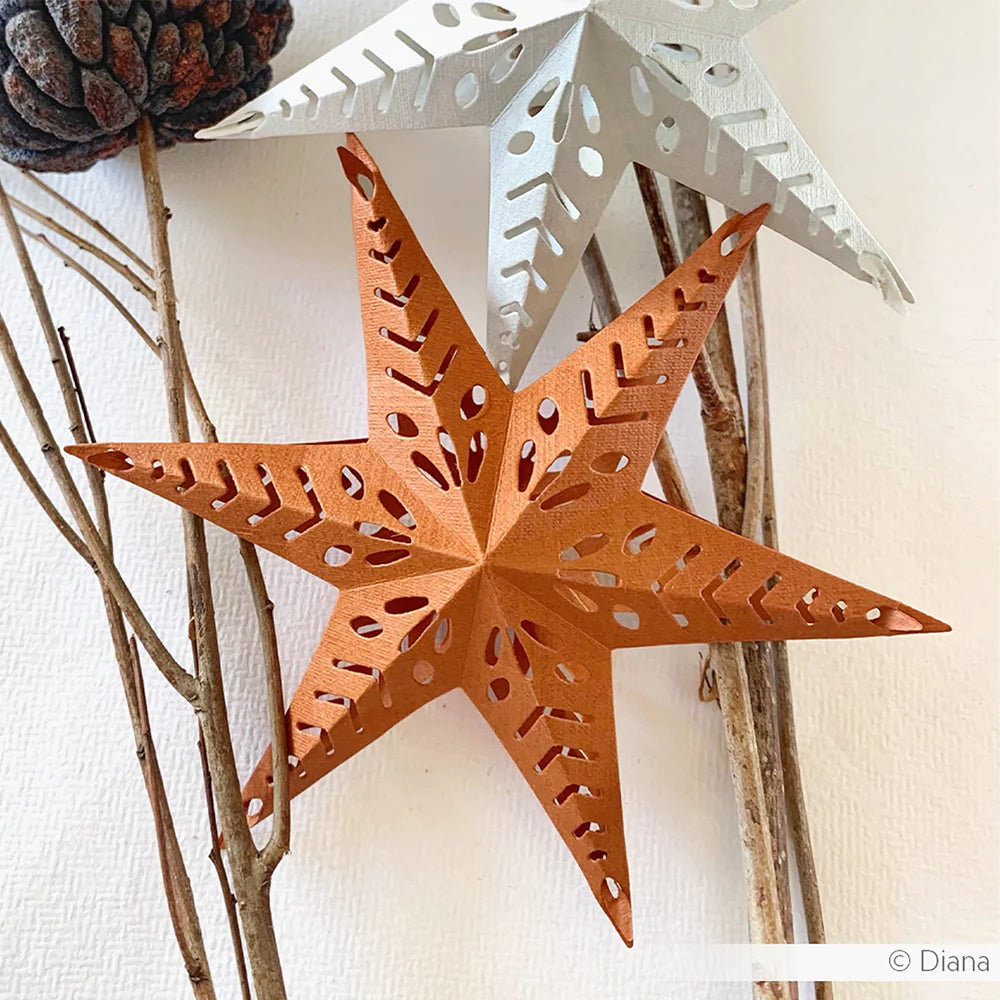 Alexandra Renke - Dies - Plugged star with line pattern