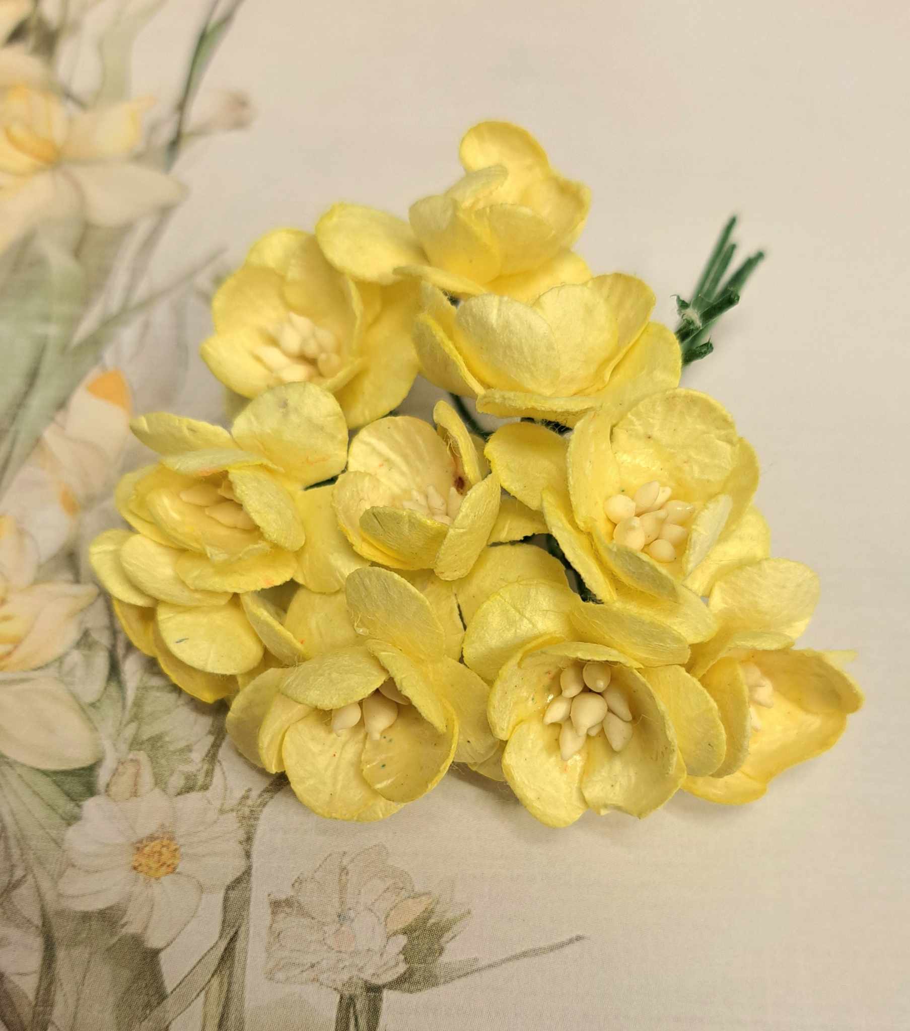 Wild Orchid - Cherry Blossoms - Yellow
