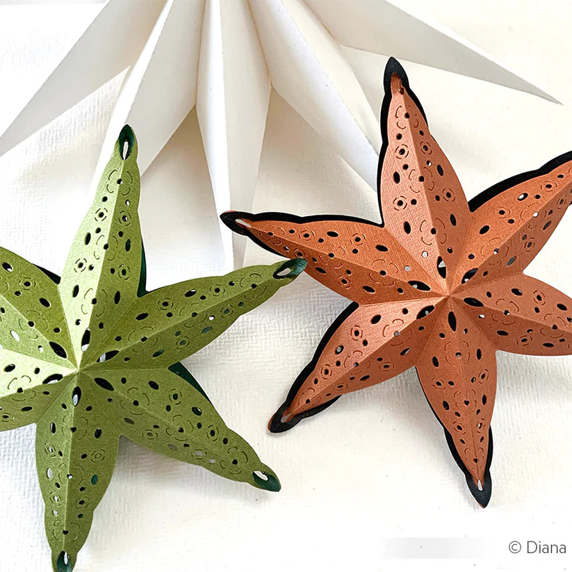 Alexandra Renke - Dies - Plugged star with flower pattern