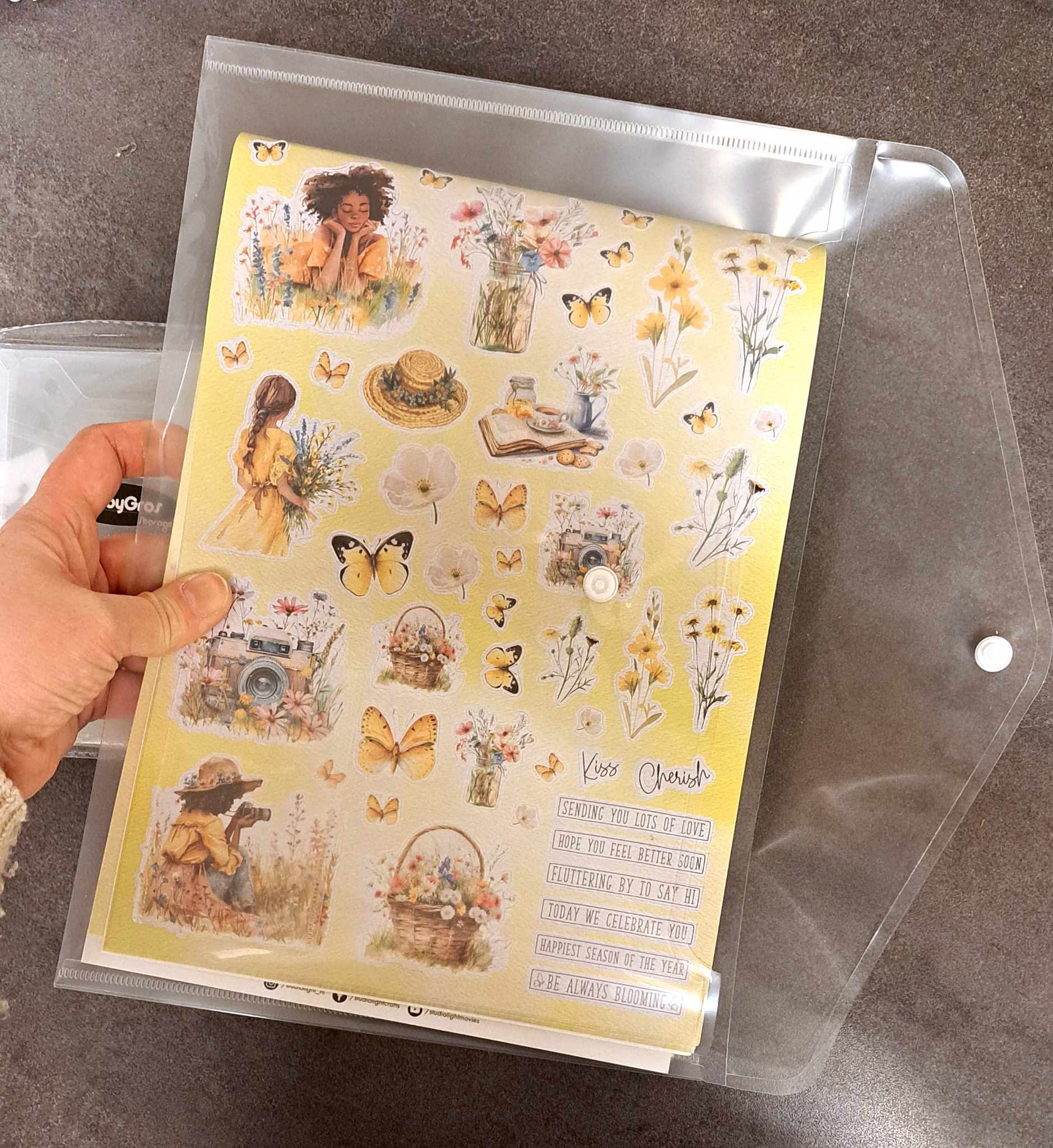 Plastic File Folder Storage Pocket - A4