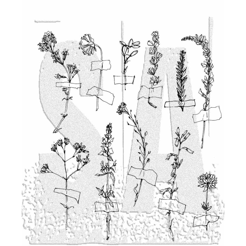 Tim Holtz Collection - Cling Stamps - Forgotten Garden