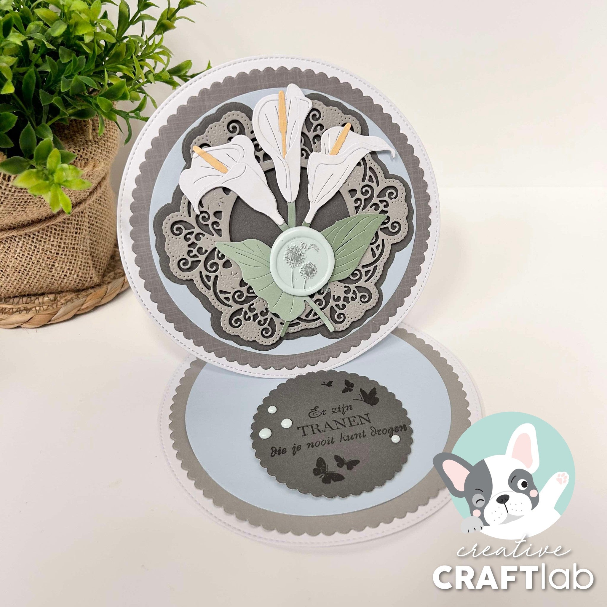 Studiolight - Dies - Calla's