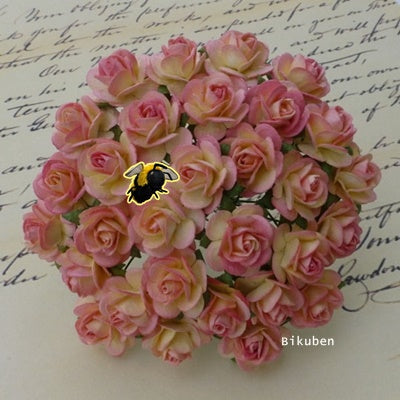 Wild Orchid - Roses 15mm - Champange Pink