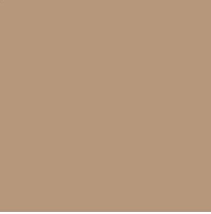 Paper Favourites - Smooth - Brown - 12x12" - 10 pack