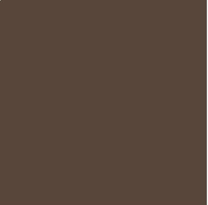 Paper Favourites - Smooth - Coffee - 12x12" - 10 pack