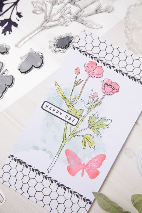 Sizzix - 49 & Market - Framelits dies & clear stamp - Painted pencil Botanicals