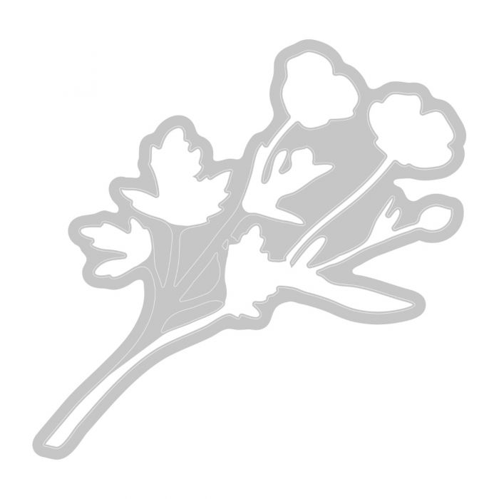 Sizzix - 49 & Market - Framelits dies & clear stamp - Painted pencil Botanicals