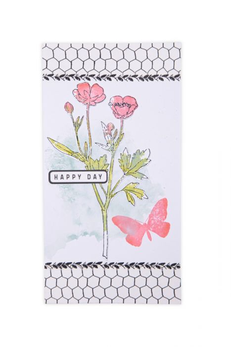 Sizzix - 49 & Market - Framelits dies & clear stamp - Painted pencil Botanicals