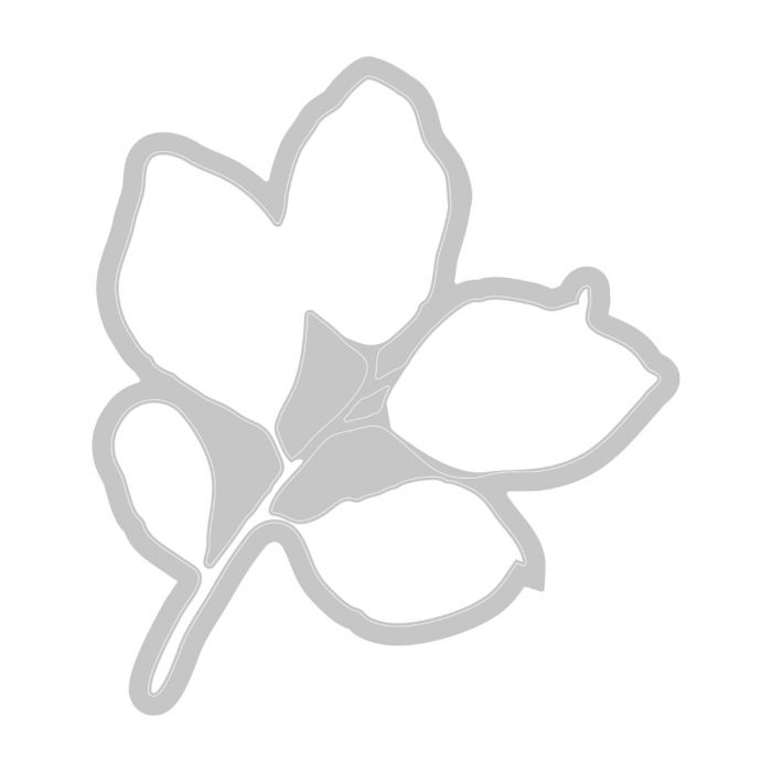 Sizzix - 49 & Market - Framelits dies & clear stamp - Painted pencil Leaves