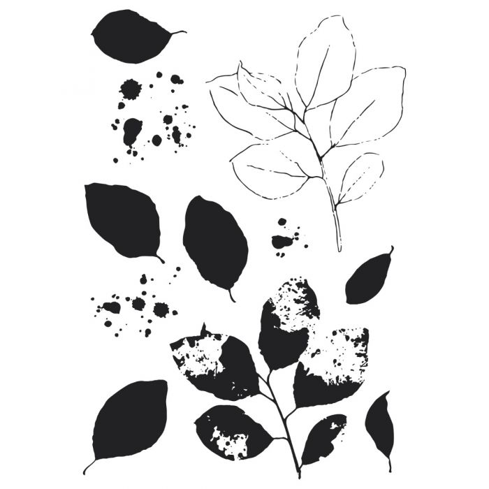 Sizzix - 49 & Market - Framelits dies & clear stamp - Painted pencil Leaves