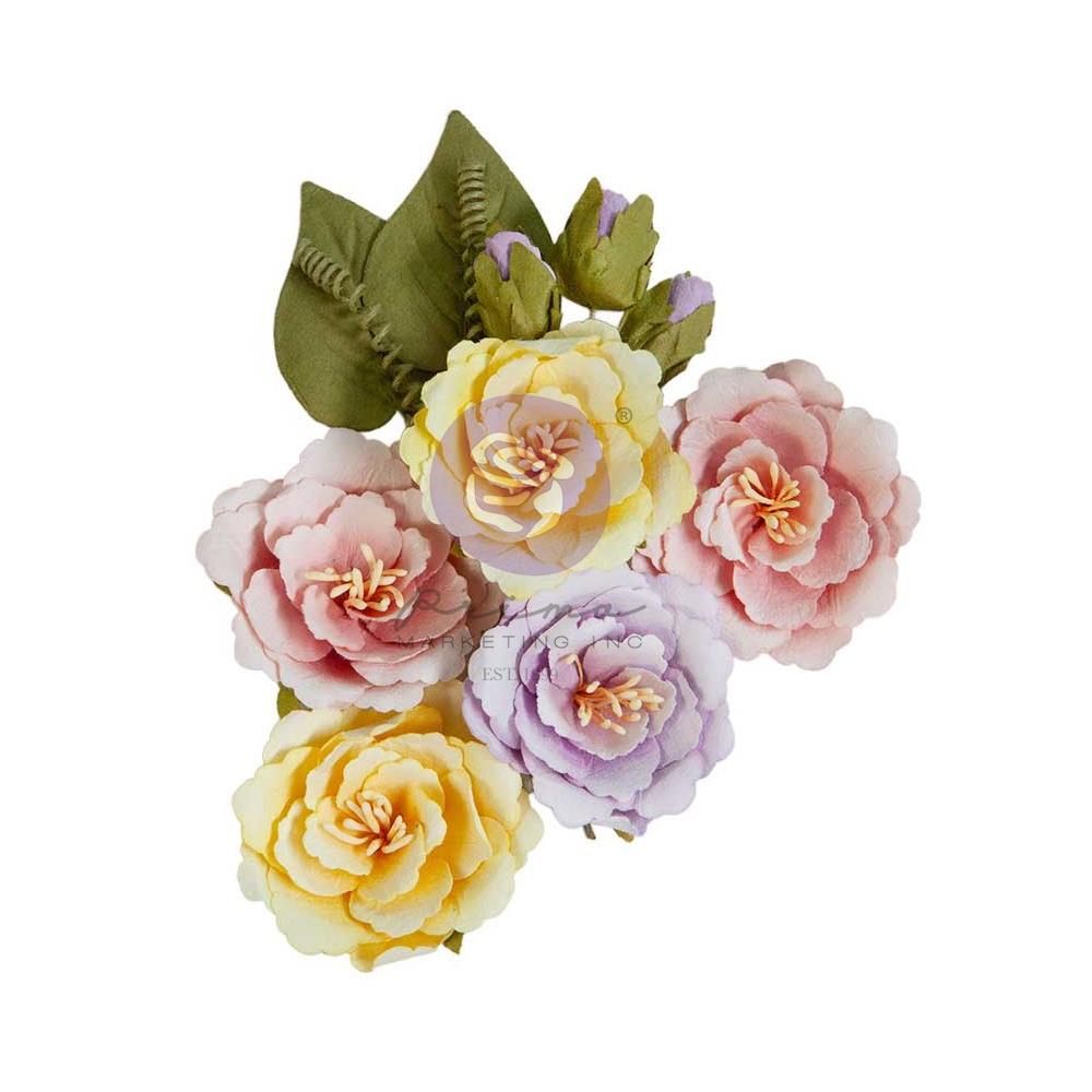 Prima - In Full Bloom - Flowers - Sunday Afternoon