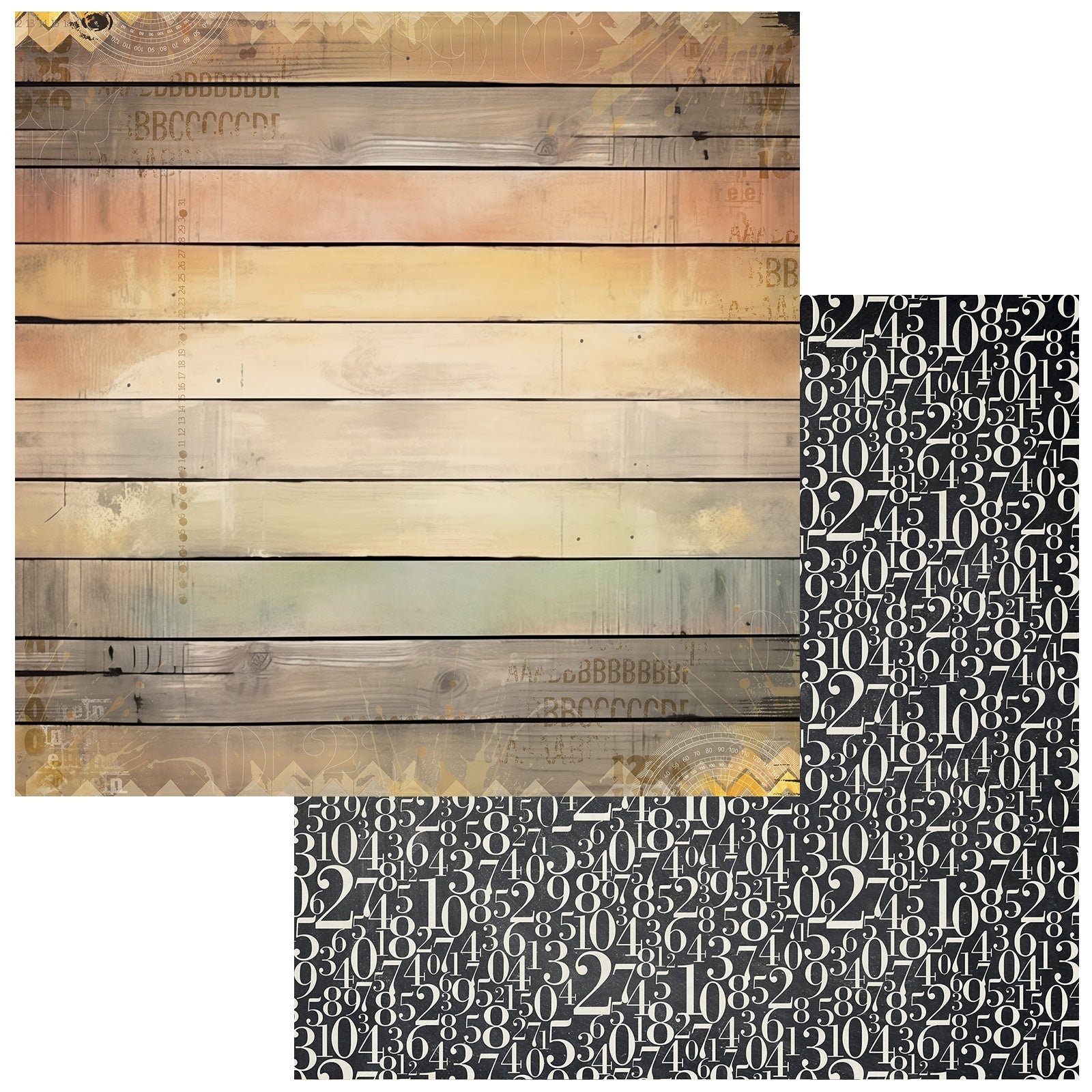 49 and Market - Academia - Fun Times - 12 x 12"