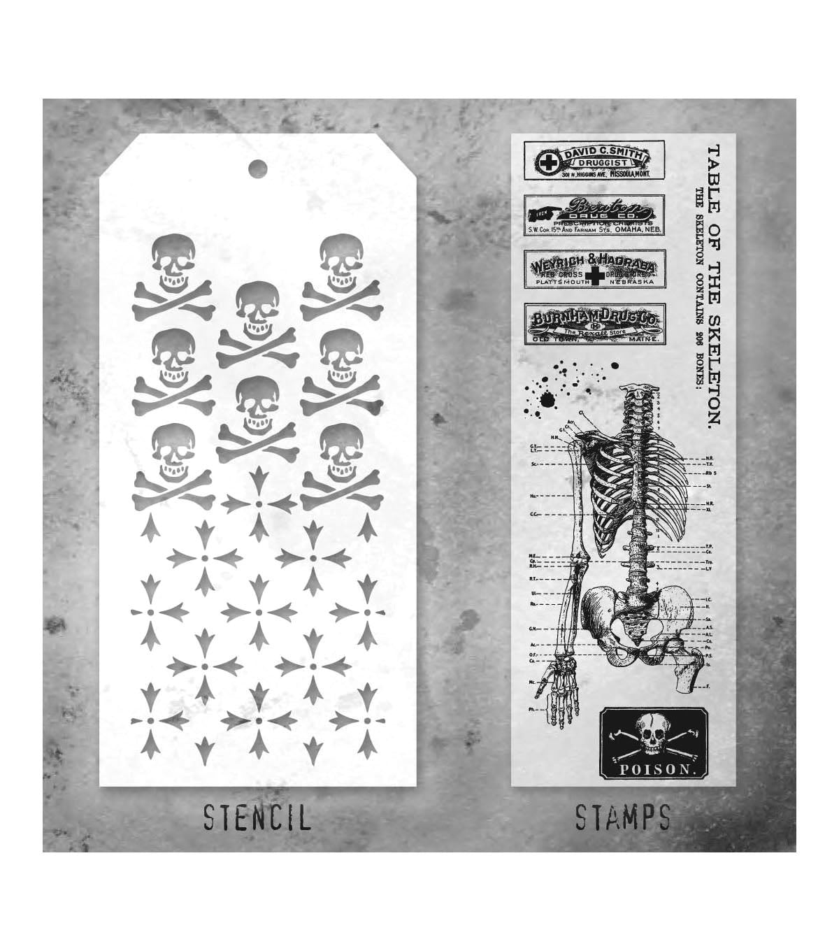 Tim Holtz - Mixed Media Set - Stamp/Stencil - Examination