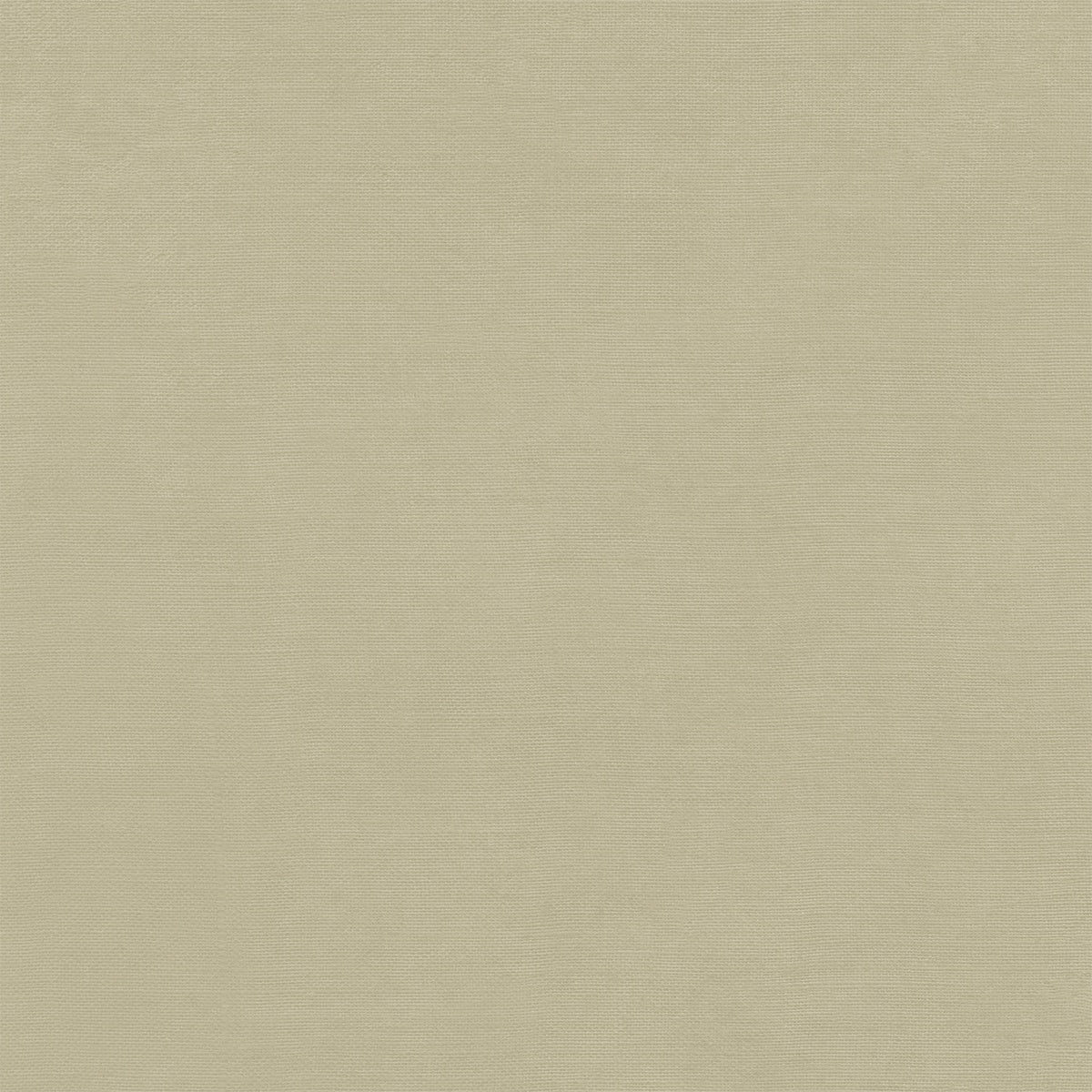 49 and Market - Nature's Haven - Solids Collection Pack - 12 x 12"