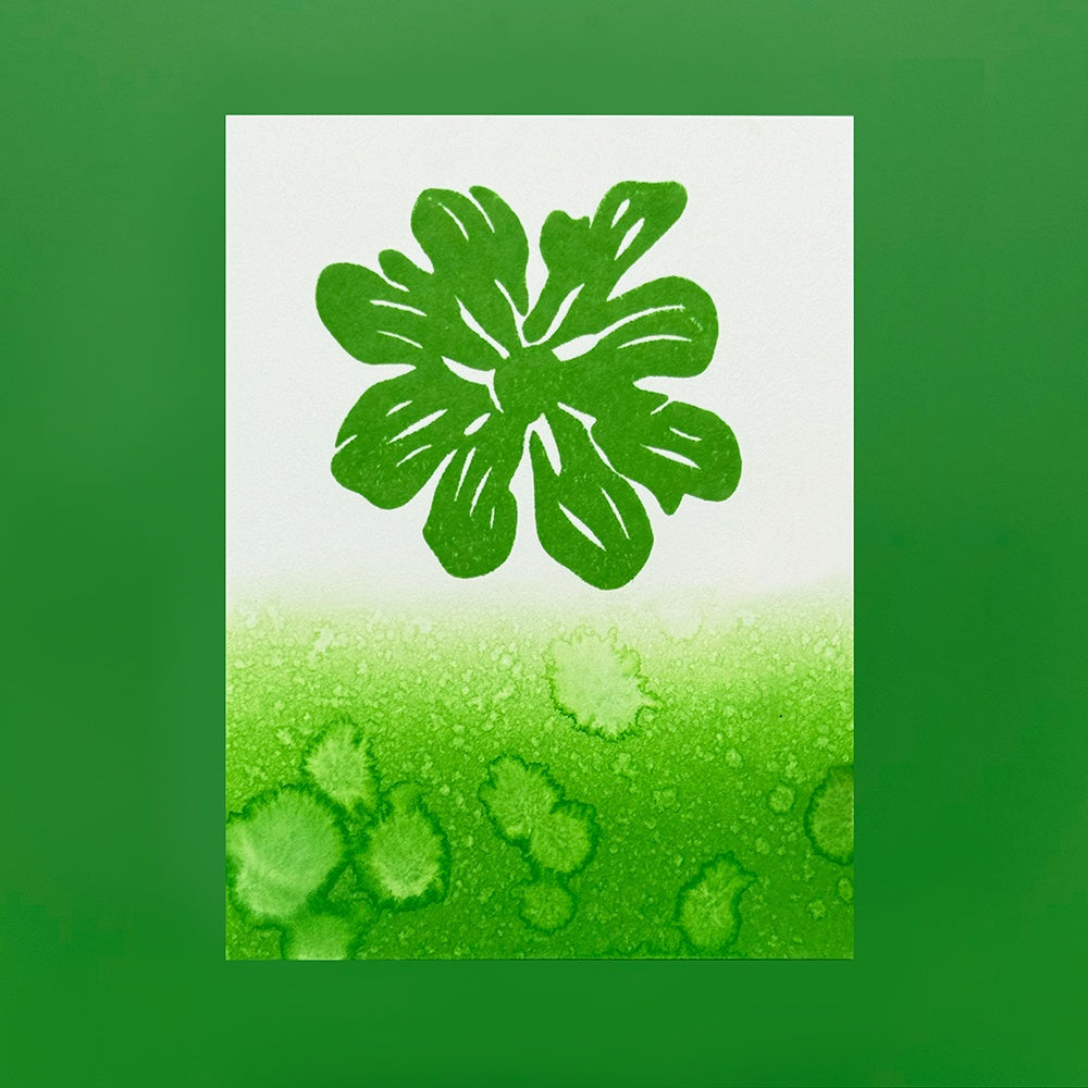 Simon Hurley - Stellar Ink Pad - Later Gator