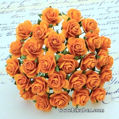 Wild Orchid - Roses 20mm - Orange