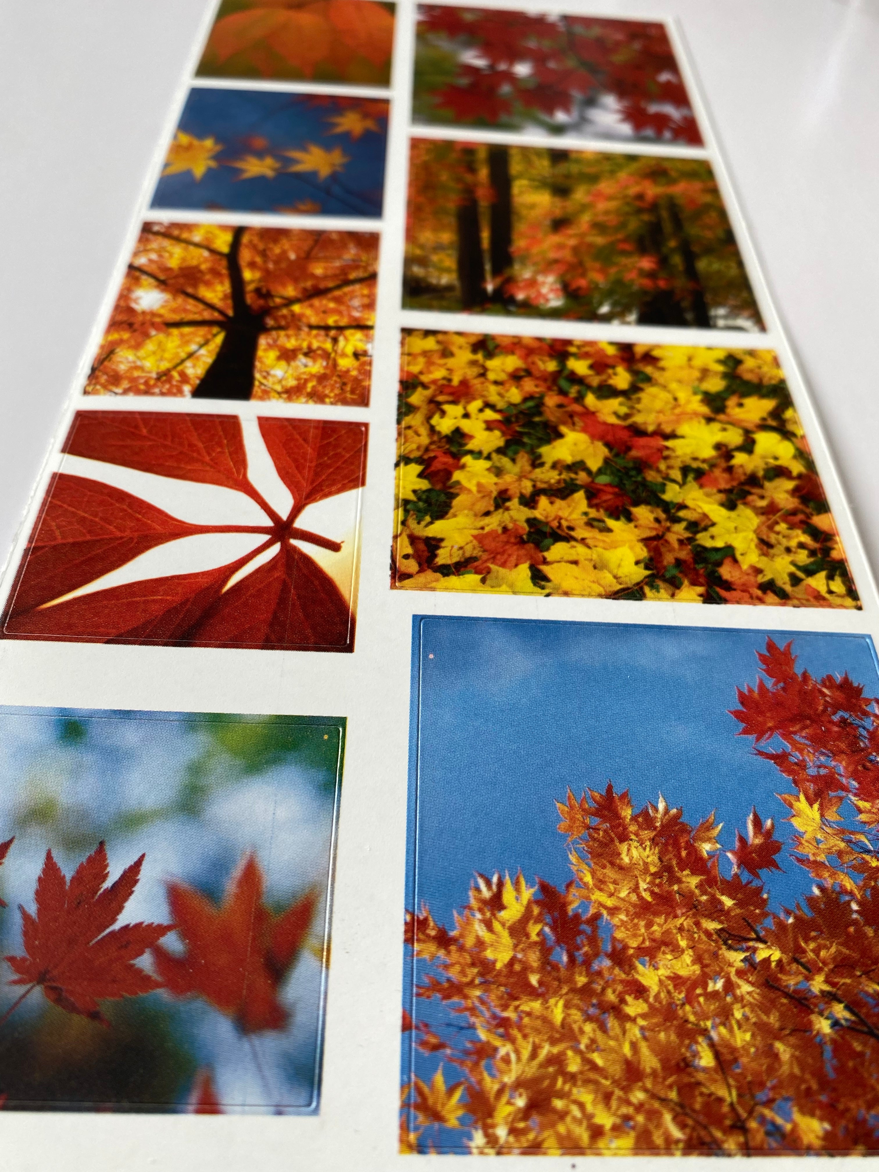 DCWV - Autumn - Stickers