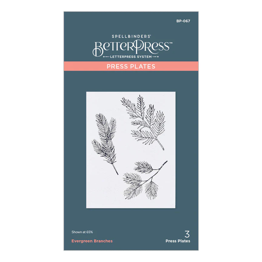 Spelbinders - BetterPress plate - Evergreen Branches