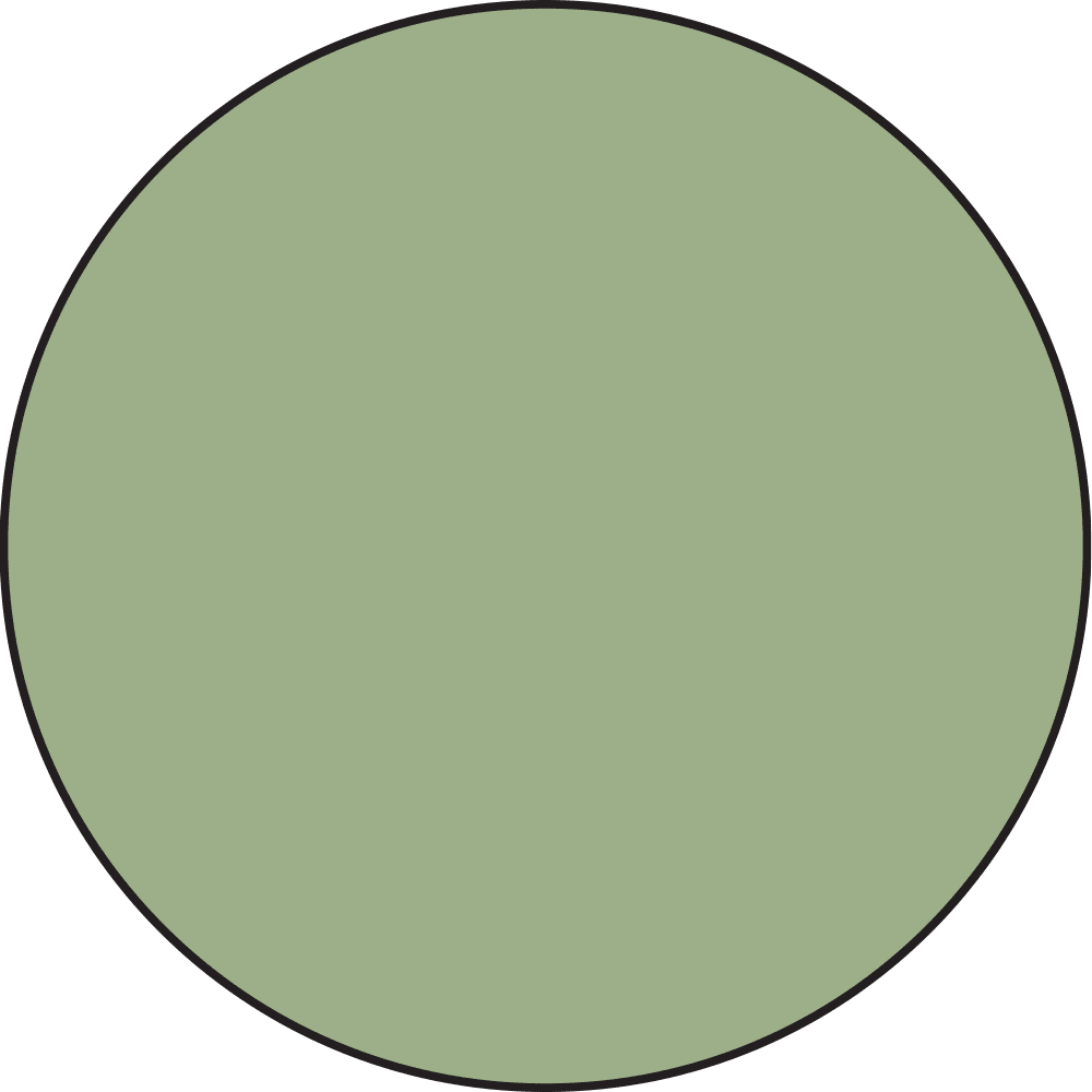 Tim Holtz - Distress Spritz - Bundled Sage - 1oz