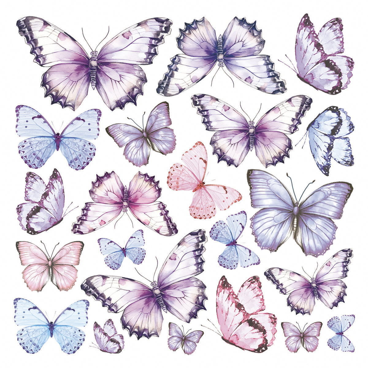 Ciao Bella - Morning in provence - Fussy Cut Vellum - Paper Pad - 6 x 6"