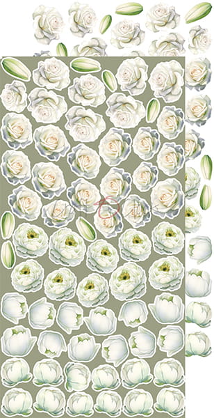 Craft O'Clock - A Day To Remember - Flowers Extras Set