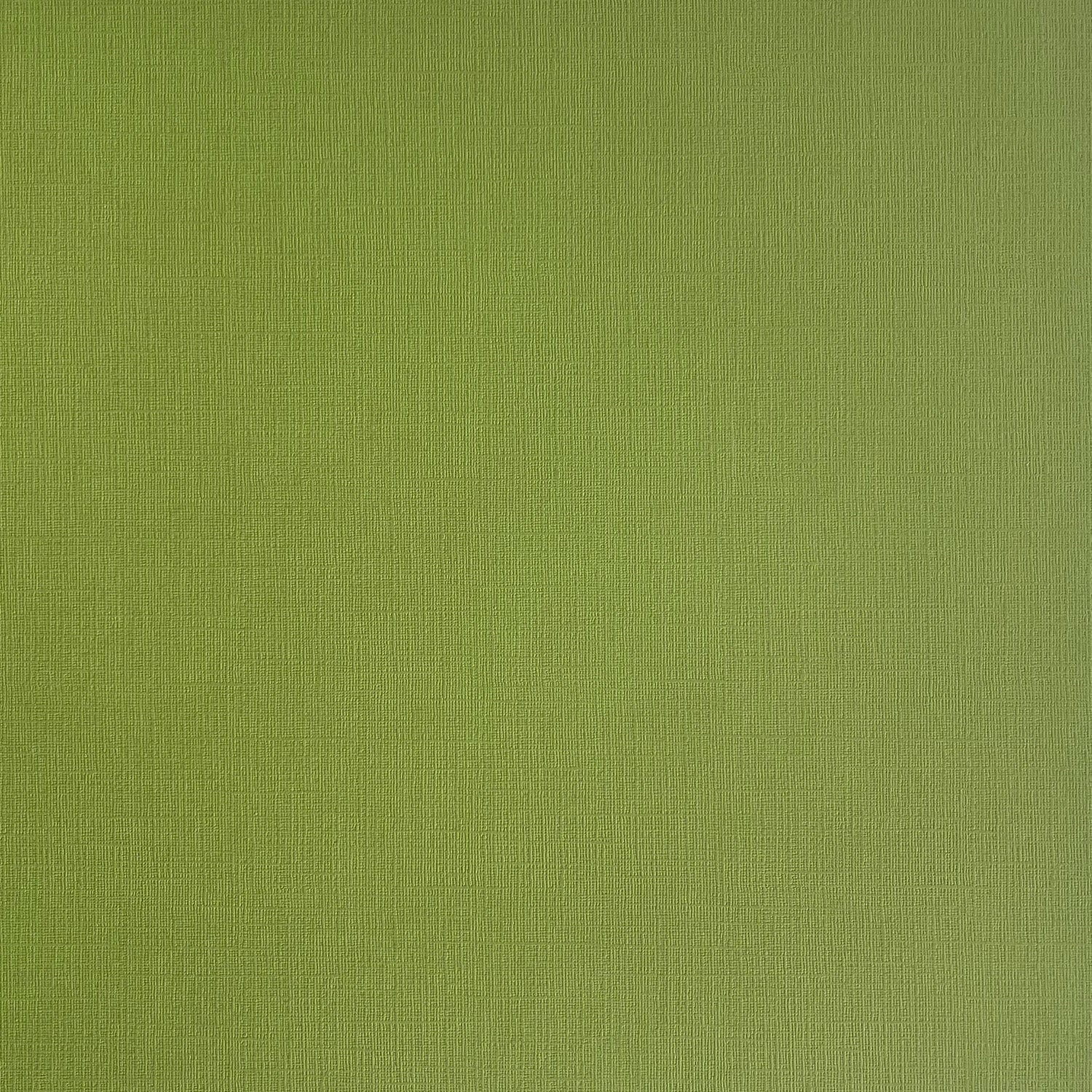 My Colors Cardstock - Canvas - Grasshopper 12x12"