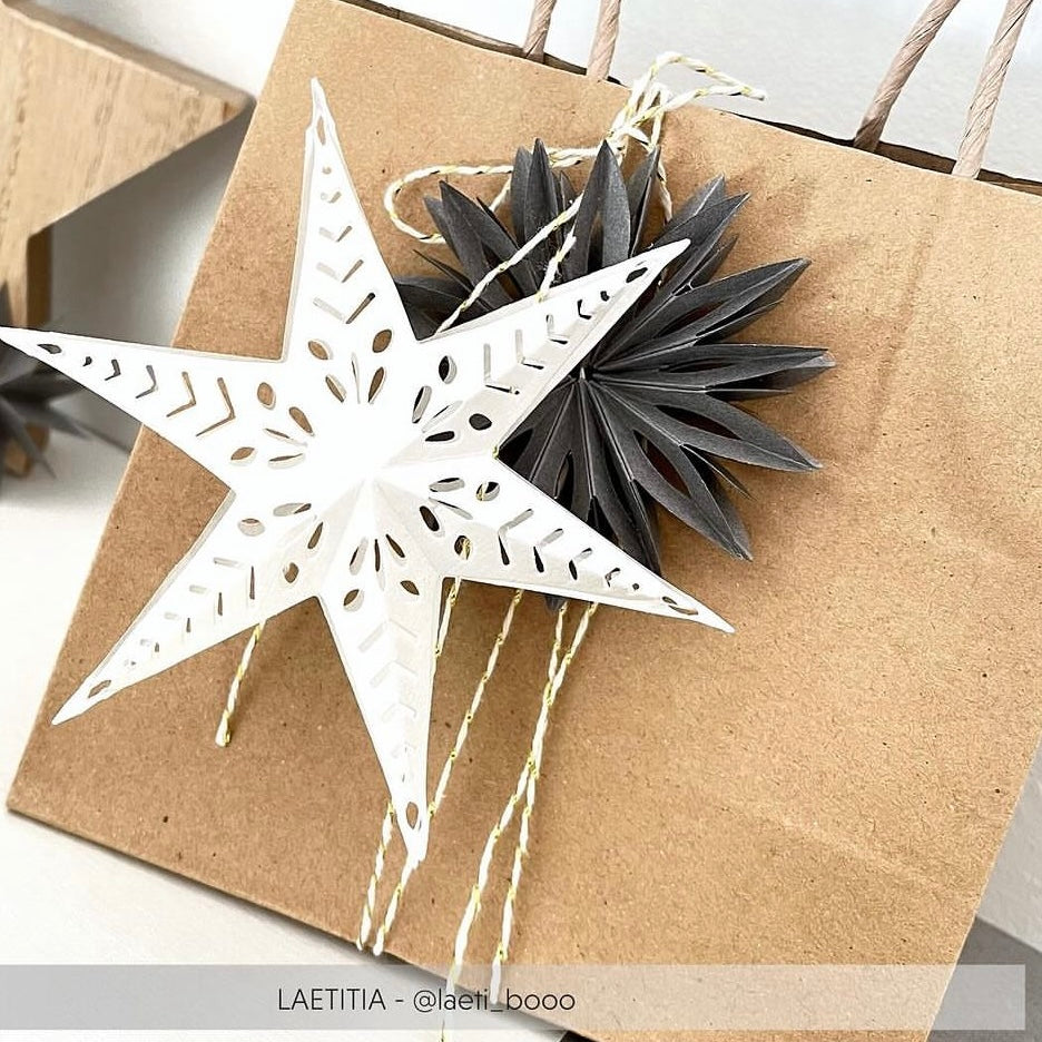 Alexandra Renke - Dies - Plugged star with line pattern