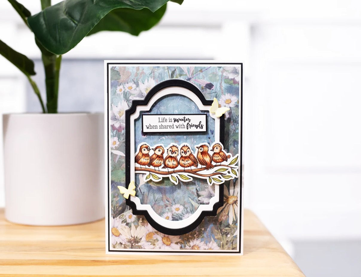 Crafters Companion - Stamp and Die set -   Birds