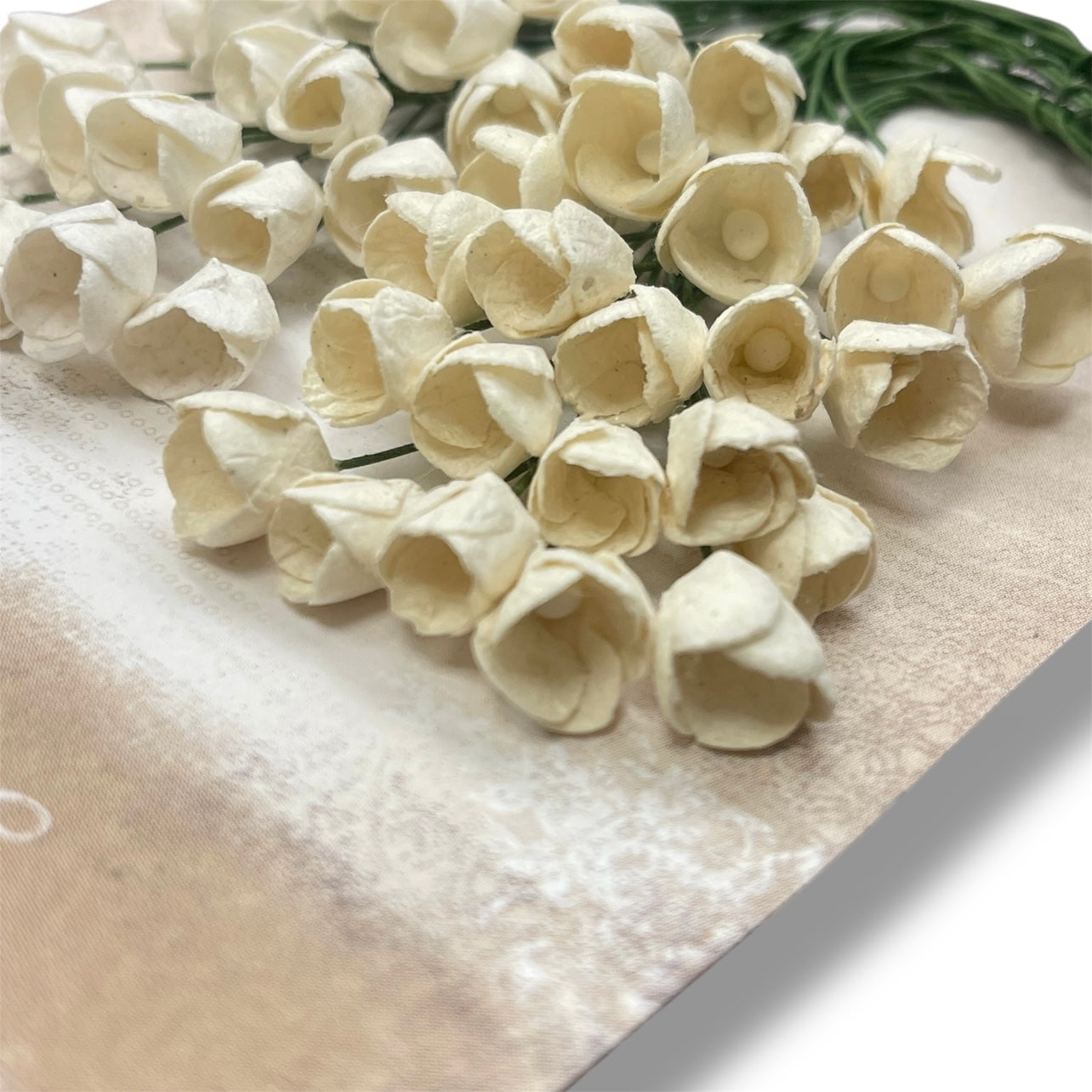 Papirdesign - Små tulipaner - Hvit/Krem