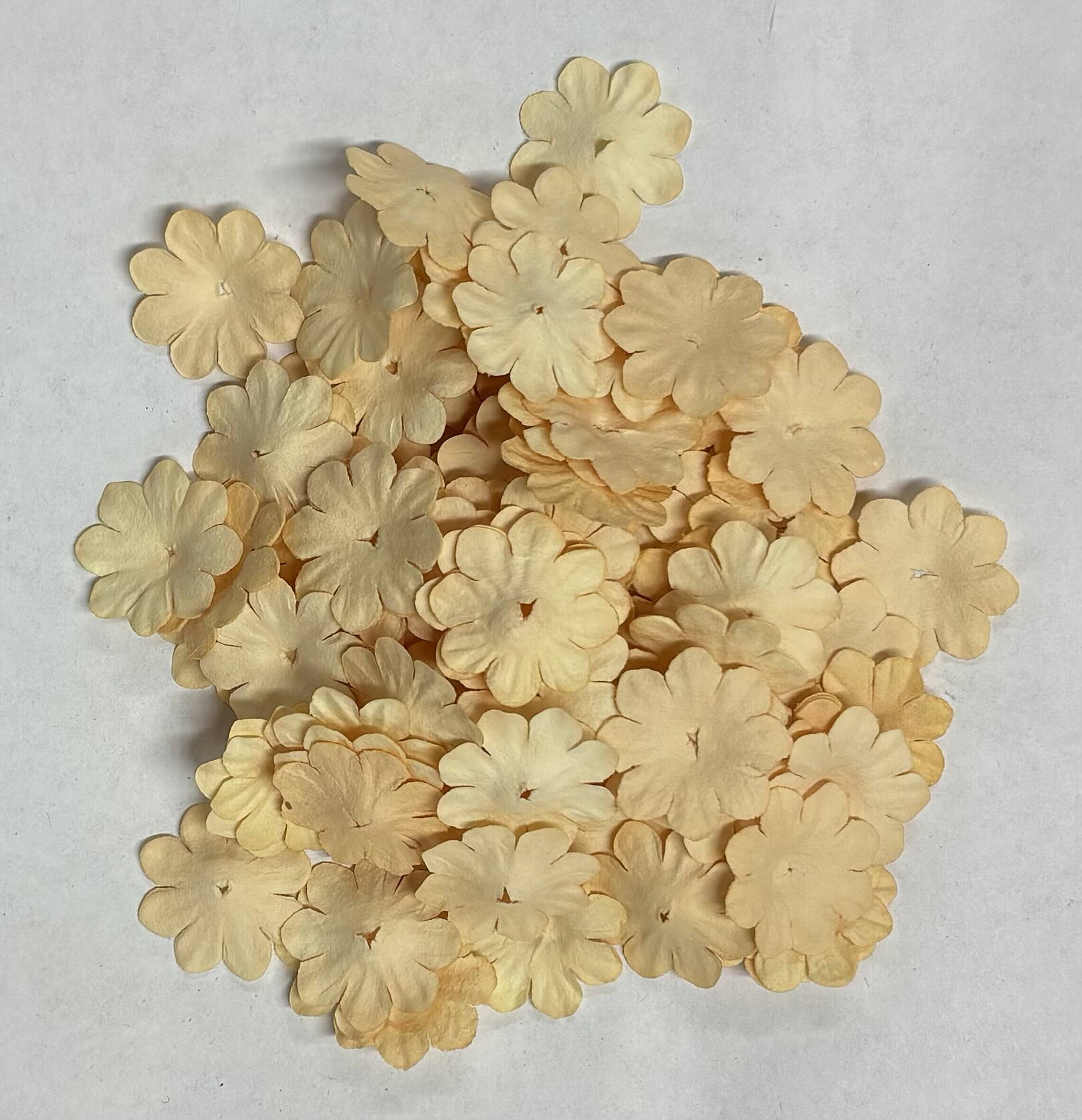 Reprint - Mini Papirblomster - Creme