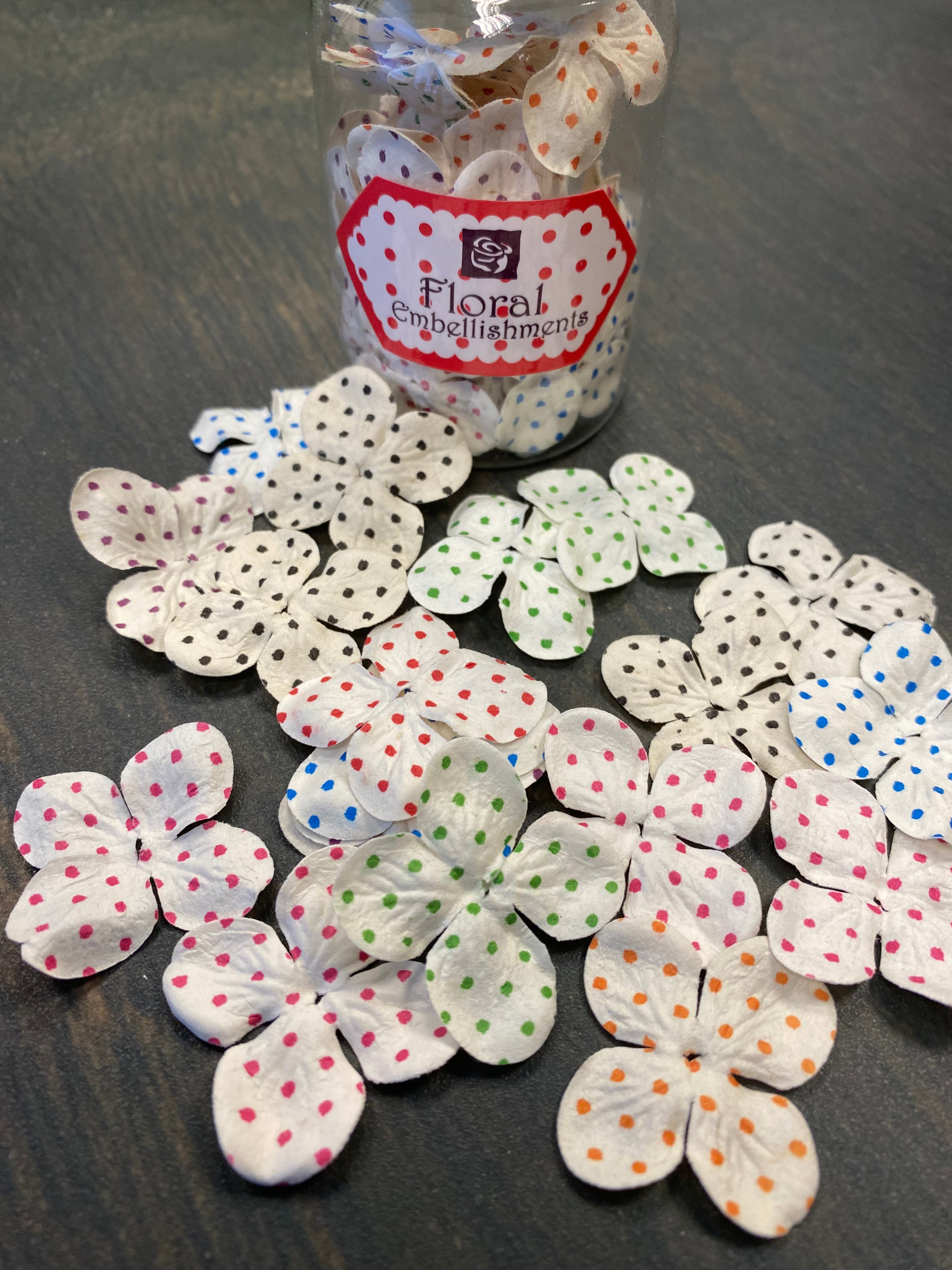 Prima - Sweet n' Sassy - Cassie