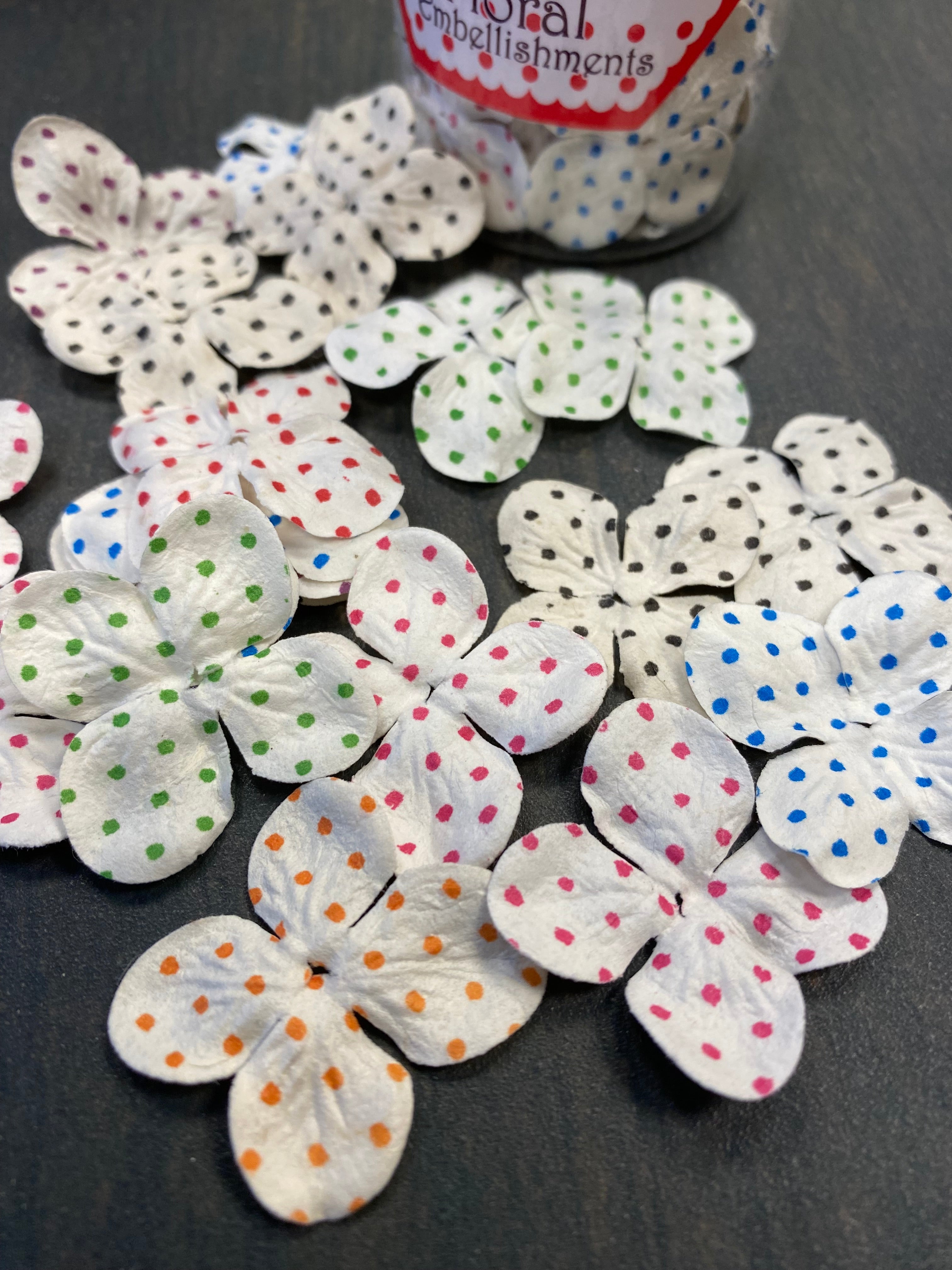 Prima - Sweet n' Sassy - Cassie