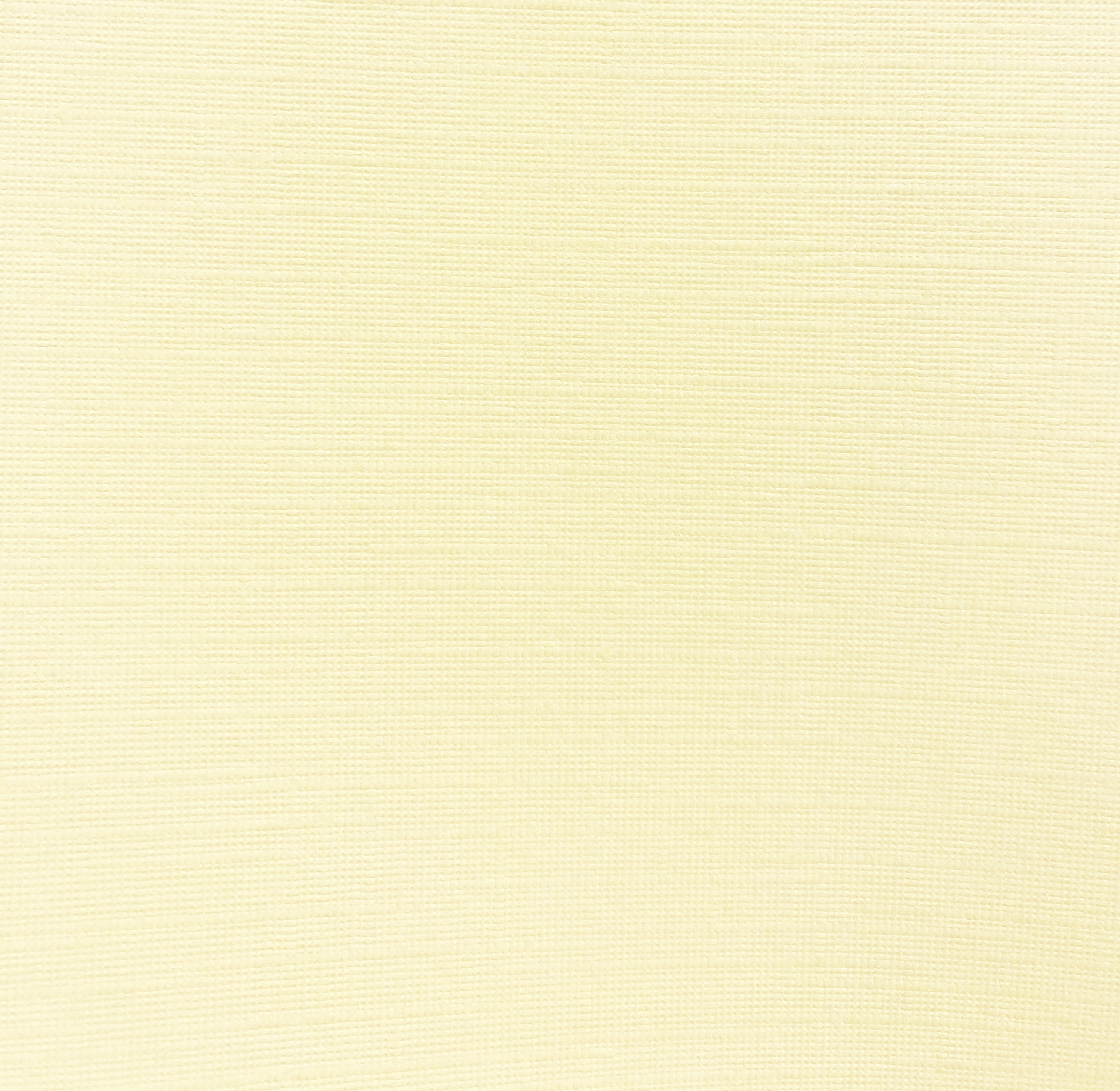 The Paper Company - Cardstock - Ivory -   12 x 12"