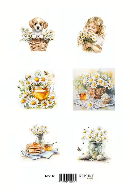 Reprint - Klippark - Summer 2 - A4