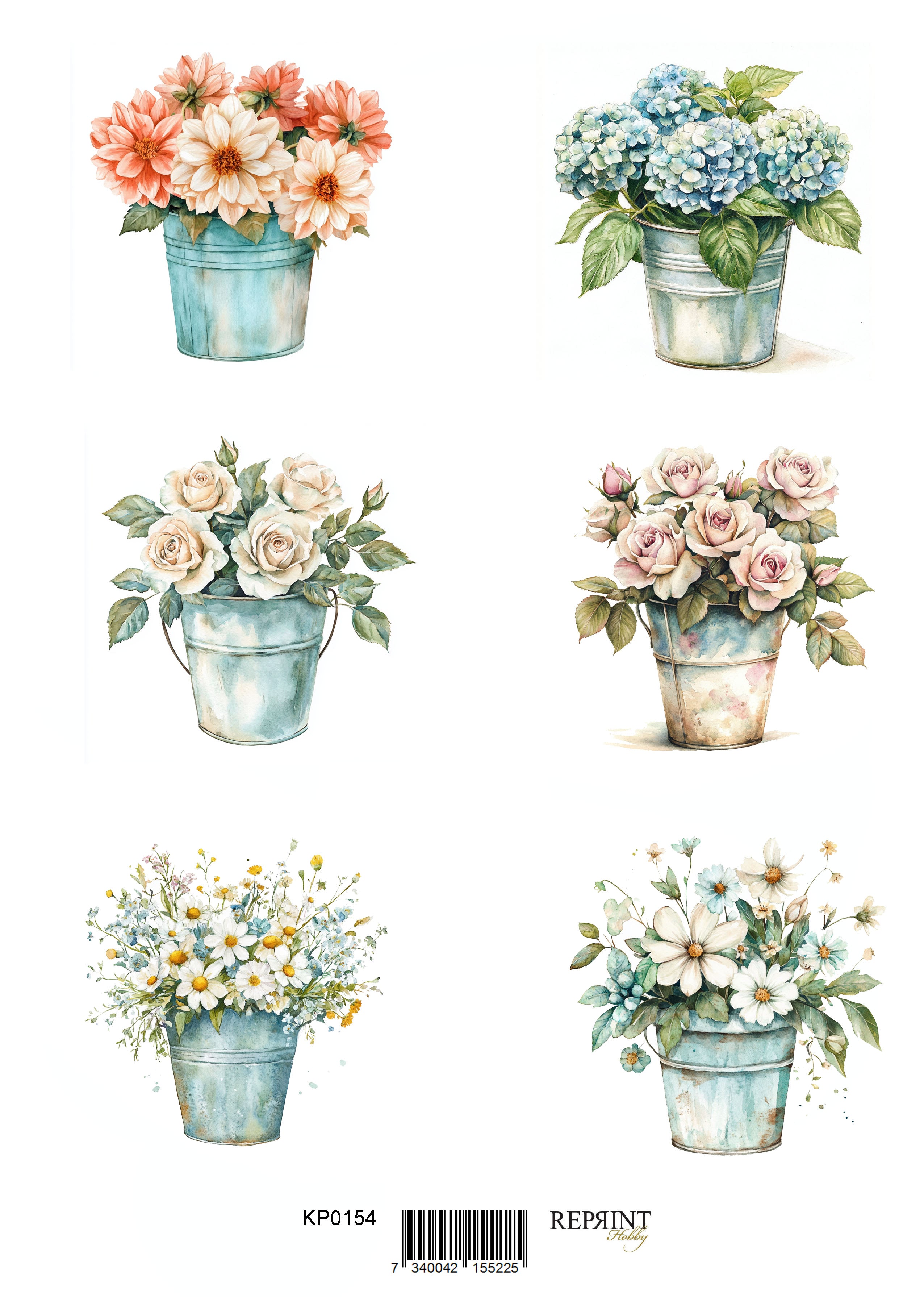 Reprint - Klippark - Plants - A4